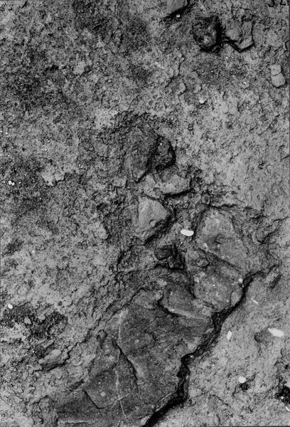 013780 - scavo archeologico - Foro Romano,Equus Domitiani,  esplorazioni stratigrafiche, strato XVIII (blocco di tufo giallo troncato con accetta); neg. serie F, n. 324
