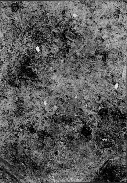 013779 - scavo archeologico - Foro Romano,Equus Domitiani,  esplorazioni stratigrafiche, strato XVI; neg. serie F, n. 319