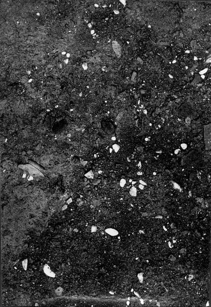 013777 - scavo archeologico - Foro Romano,Equus Domitiani,  esplorazioni stratigrafiche, strato XV; neg. serie F, n. 318