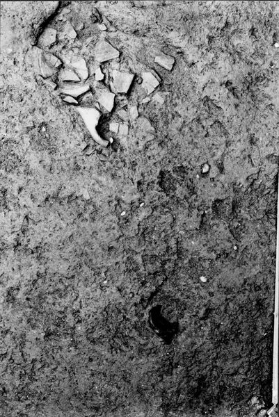 013775 - scavo archeologico - Foro Romano,Equus Domitiani,  esplorazioni stratigrafiche, strato XIII; neg. serie F, n. 292
