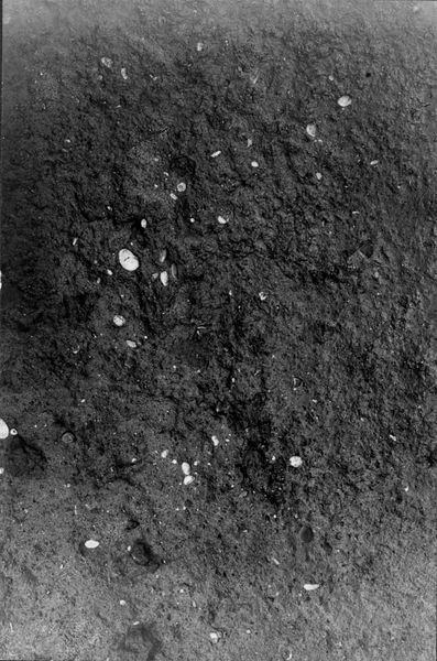 013782 - scavo archeologico - Foro Romano,Equus Domitiani,  esplorazioni stratigrafiche, strato XX; neg. serie F, n. 332