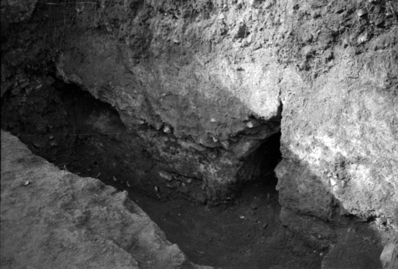 1-00038/ 08673/ 16806 - Roma - Criptoportico Neroniano (?)