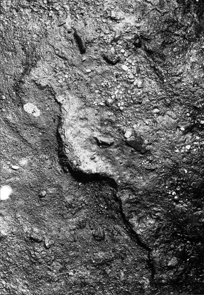 013790 - scavo archeologico - Foro Romano,Equus Domitiani,  esplorazioni stratigrafiche, strato XXVI; neg. serie F, n. 376