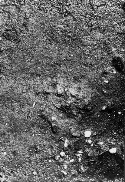 013791 - scavo archeologico - Foro Romano,Equus Domitiani,  esplorazioni stratigrafiche, strato XXVII; neg. serie F, n. 378
