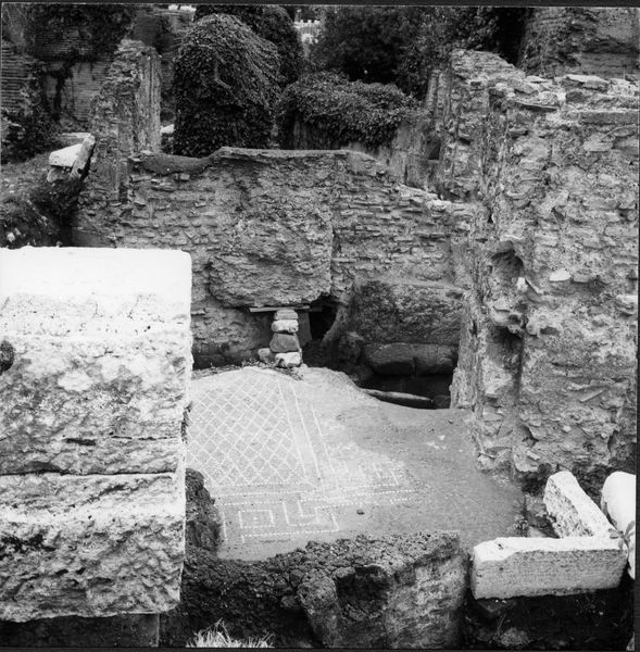 013662 - monumento - Foro Romano, Domus Publica, il mosaico nel ambiente a fianco del piccolo impluvio; neg. serie 6x6, n. 1570 (novembre 1968)