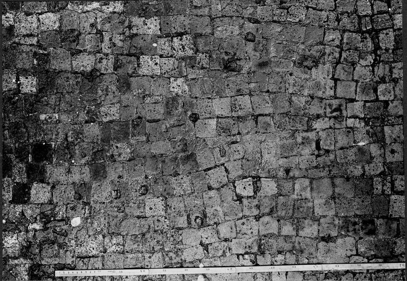 012702 - monumento - Foro Romano, Clivo Capitolino, c.d. Rostri di Cesare, sostruzioni, particolare del pavimento a tessere di cotto; neg. serie F, n. 410