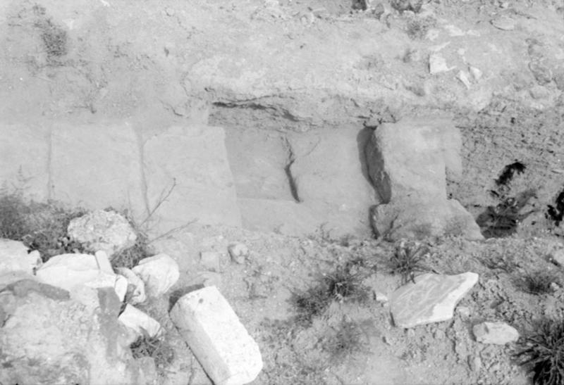 1-00039/ 08758/ 16807 - Roma - Palatino - Casa di Livia