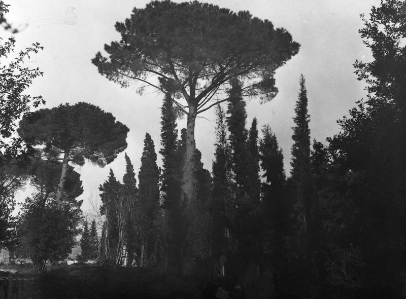 022579 - monumento - Palatino, Domus Augustana, Villa Mills, ex Convento della Visitazione, il girdino (peristilio superiore) nel 1912; senza negativo