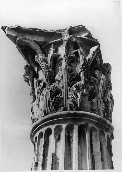 012764 - monumento - Foro Romano, Colonna di Foca, il capitello (particolare ingrandito); neg. serie F, n. 1283. Inv. n. 4472