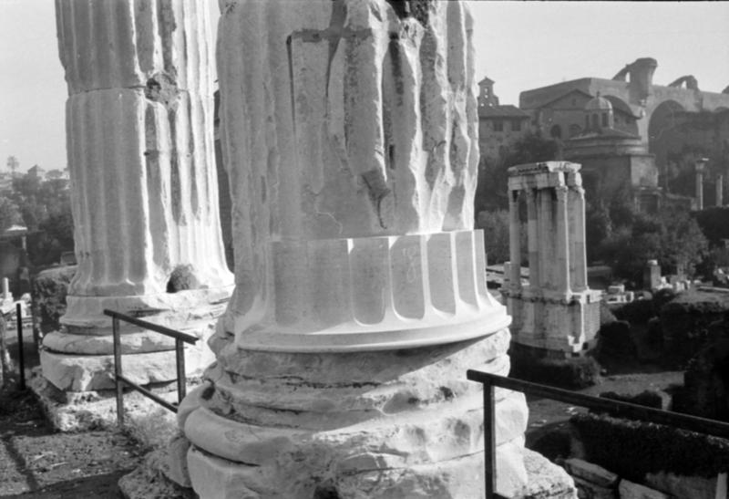 1-00041/ 08817/ 16809 - Roma - Foro Romano - Tempio dei Castori