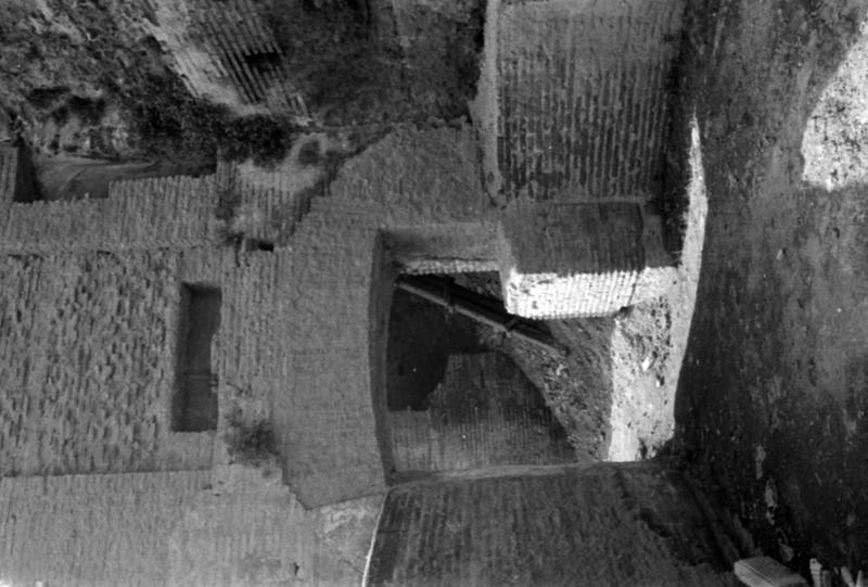 1-00041/ 08817/ 16809 - Roma - Palatino - Terme Severiane