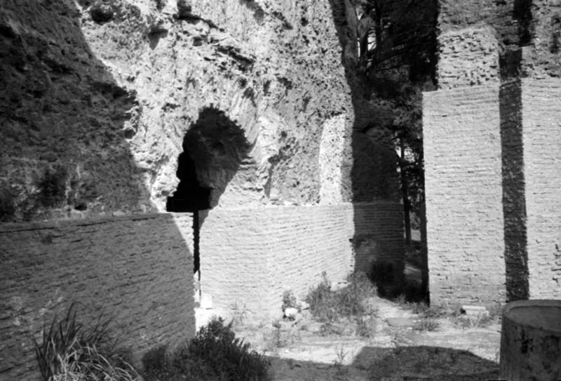 1-00041/ 08817/ 16809 - Roma - Palatino - Terme Severiane