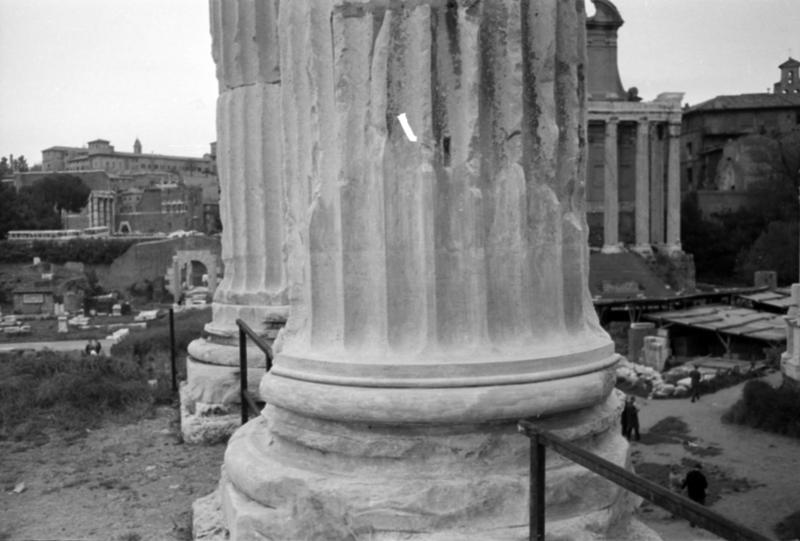 1-00041/ 08817/ 16809 - Roma - Foro Romano - Tempio dei Castori
