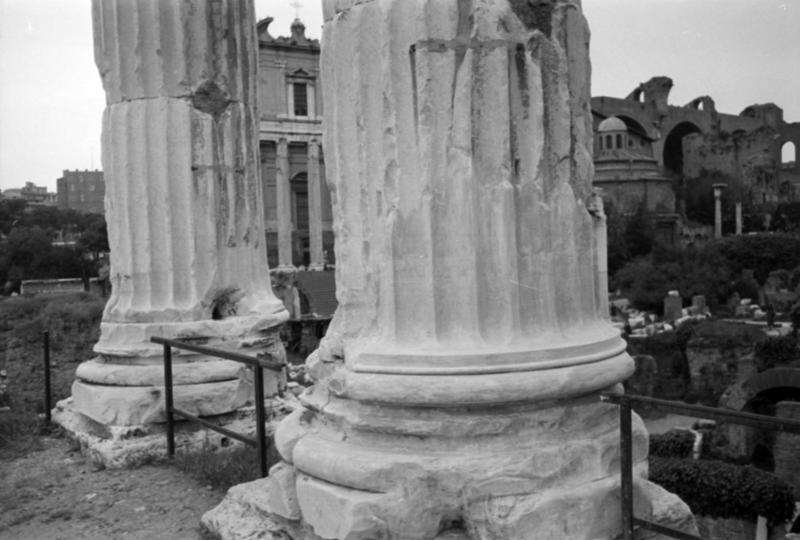1-00041/ 08817/ 16809 - Roma - Foro Romano - Tempio dei Castori