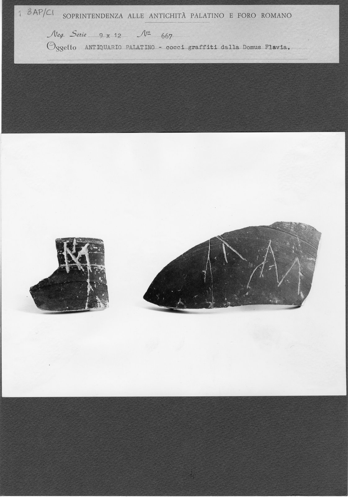 AP-CI 003.tif