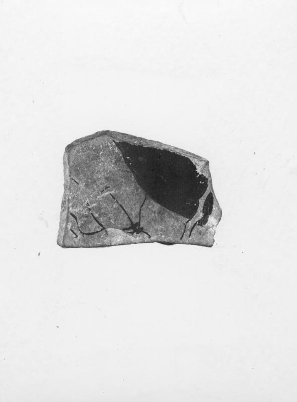AP-C 039-asf000328.TIF