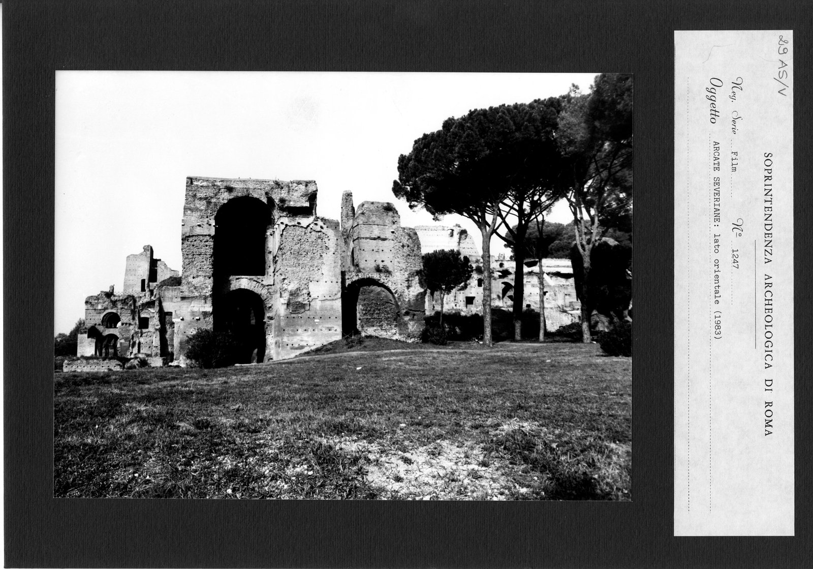 AS-V 029.tif