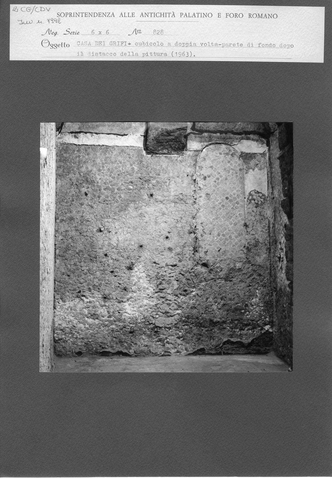 CG-CDV 002.tif