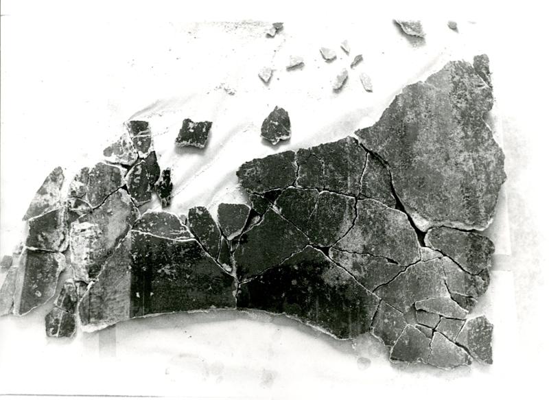 Casa di Augusto - Oecus - CA13-051.TIF