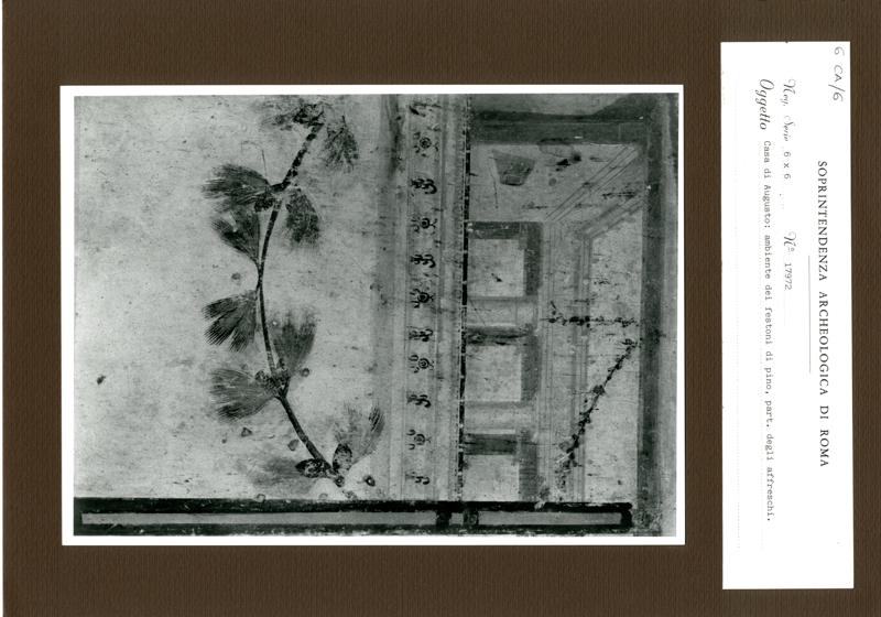 CA6 006.TIF