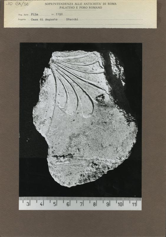 CA-STU-010.TIF