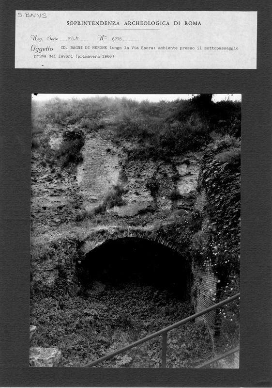 BNVS 005.tif