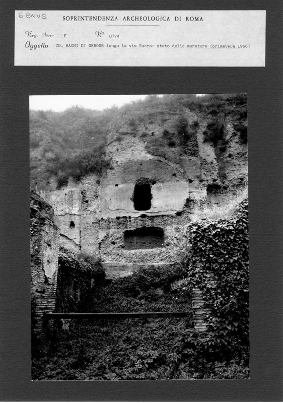 BNVS 006.tif