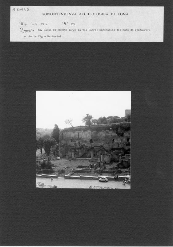 BNVS 003.tif