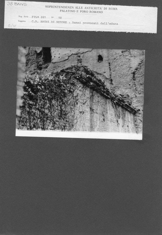 BNVS 033.tif