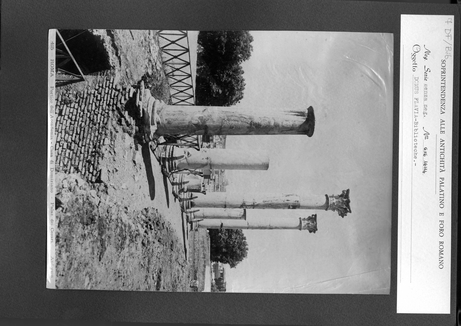 DF-Bib007.tif
