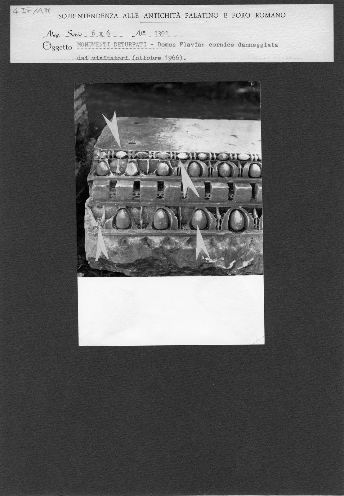 DF-AM 004.tif