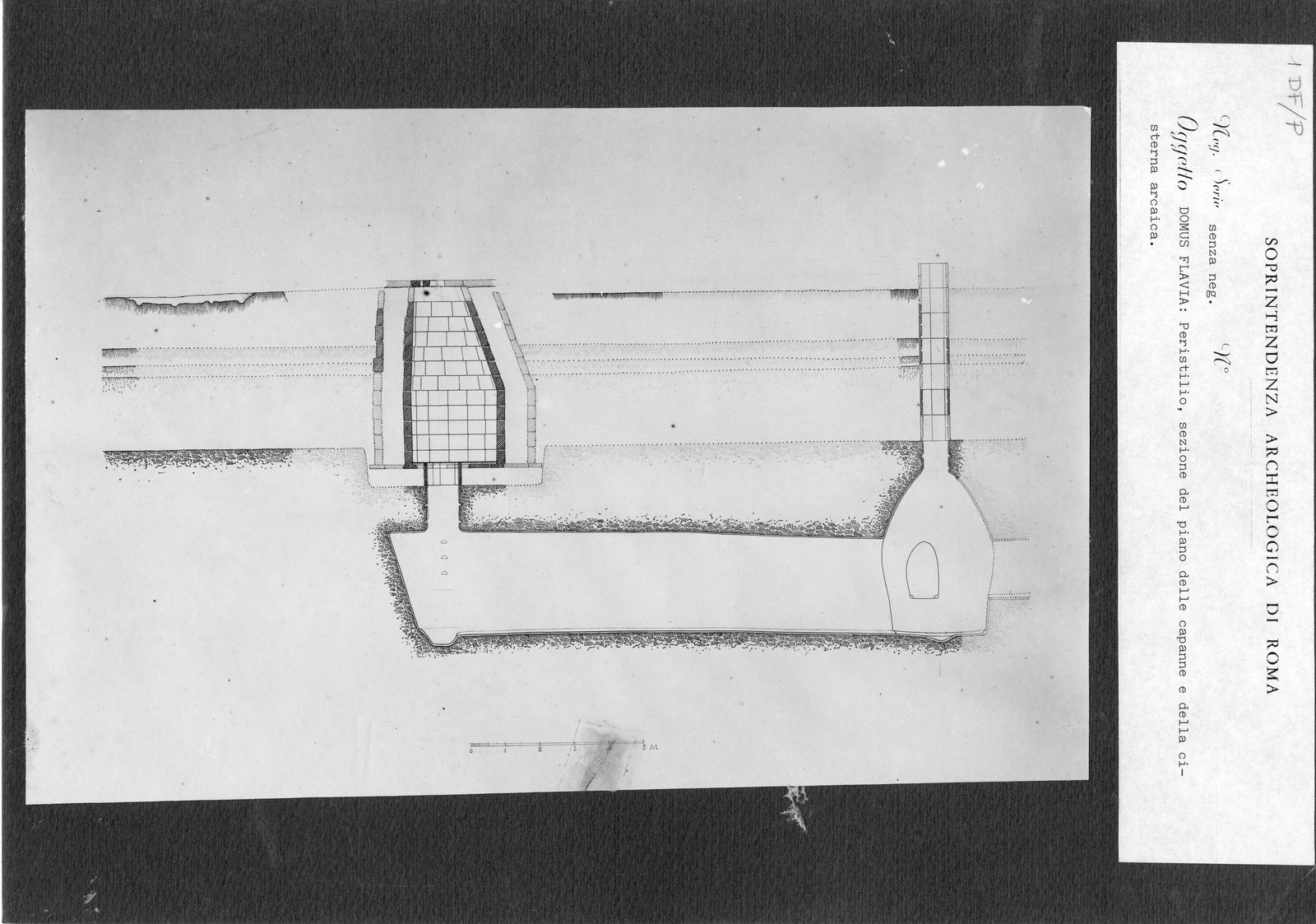 DF-P 001.tif