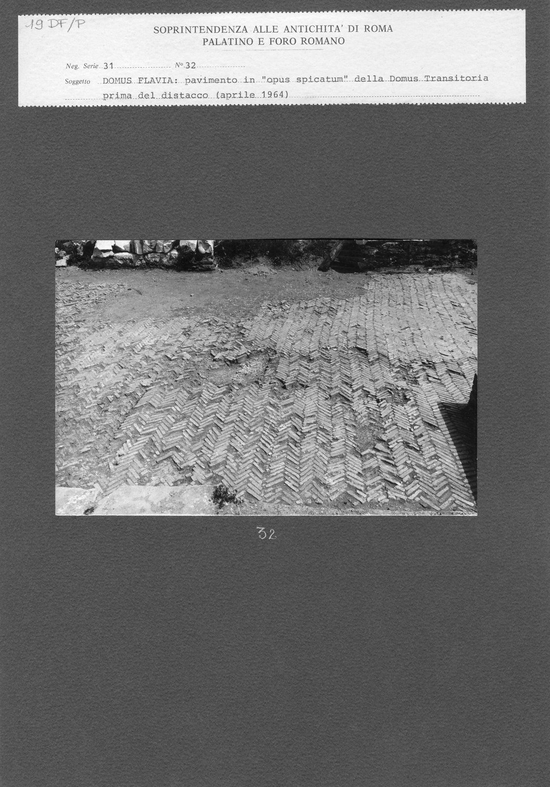 DF-P 019.tif
