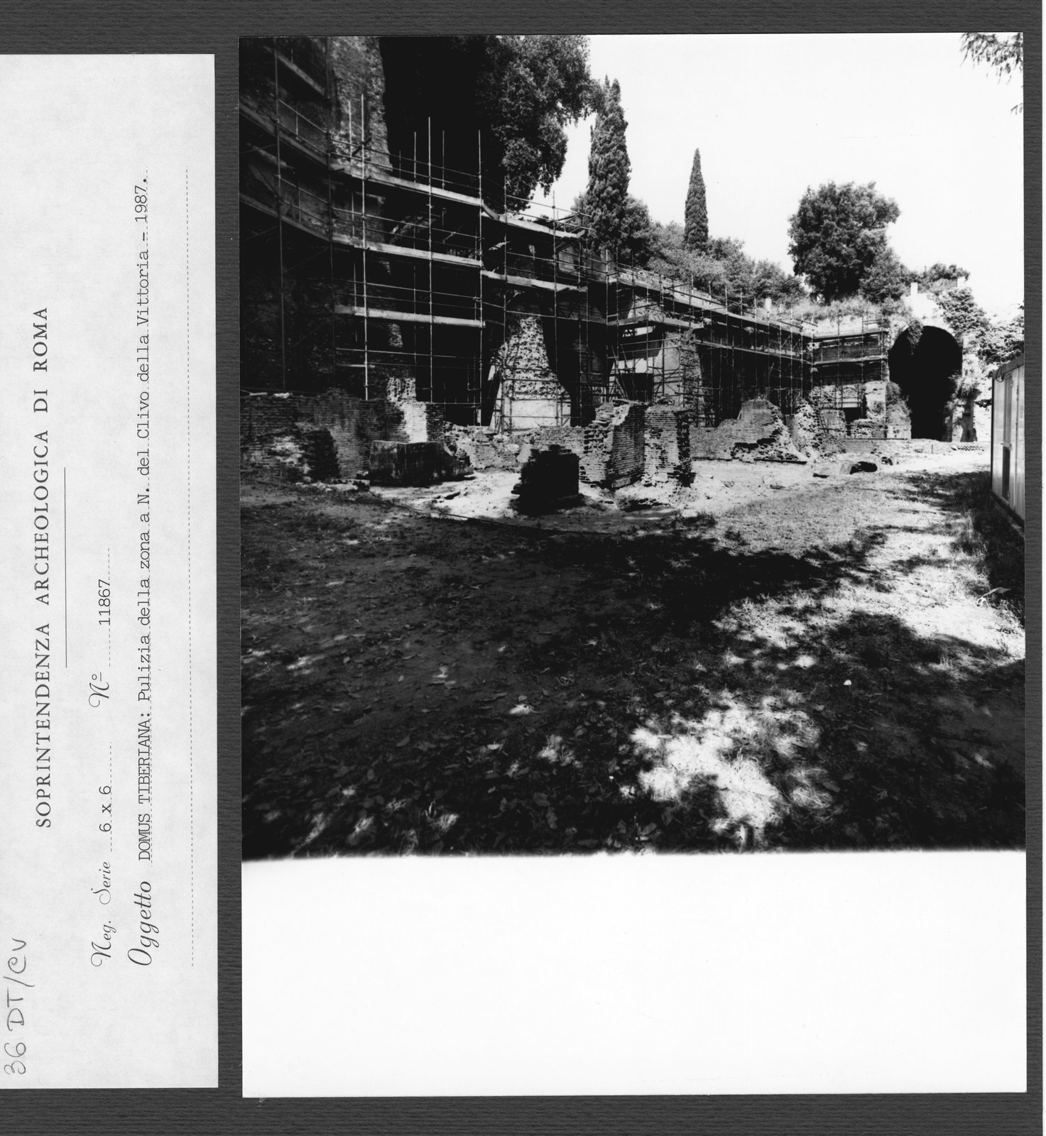 36 DT-CV.tif
