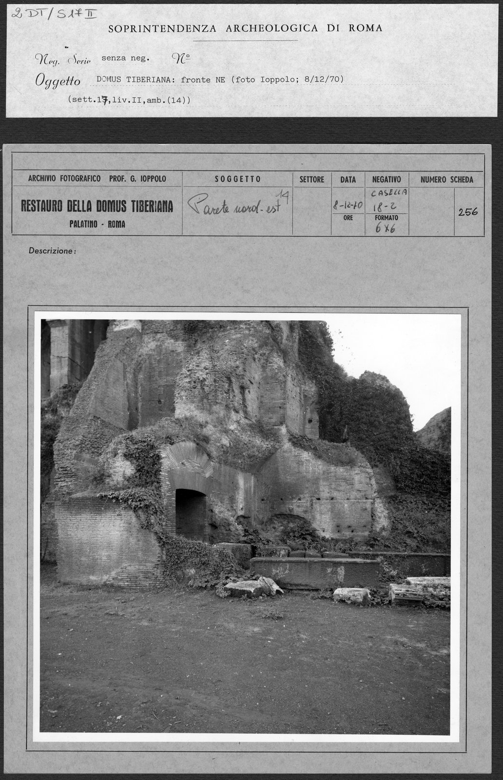 2 DT-S17 II.tif