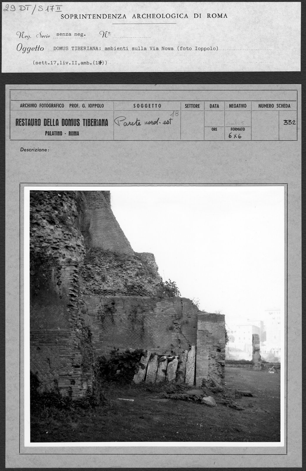 29 DT-S17 II.tif