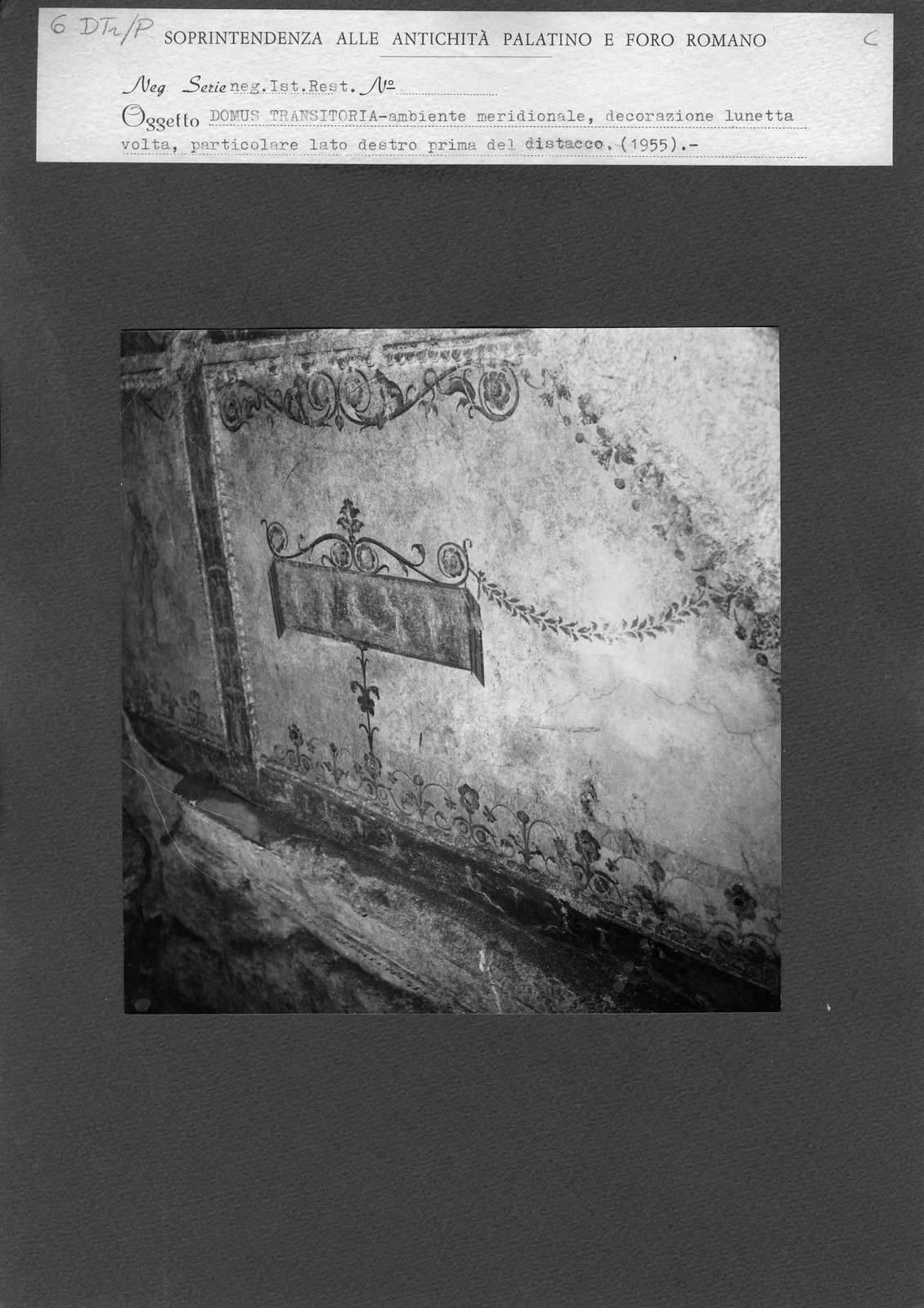 DTr-P 006.tif