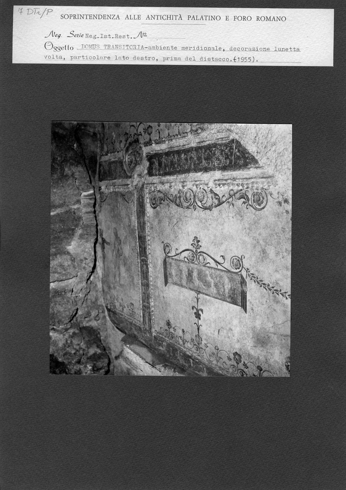 DTr-P 007.tif