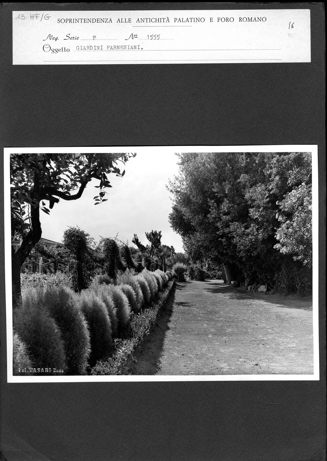 HF-G013.tif