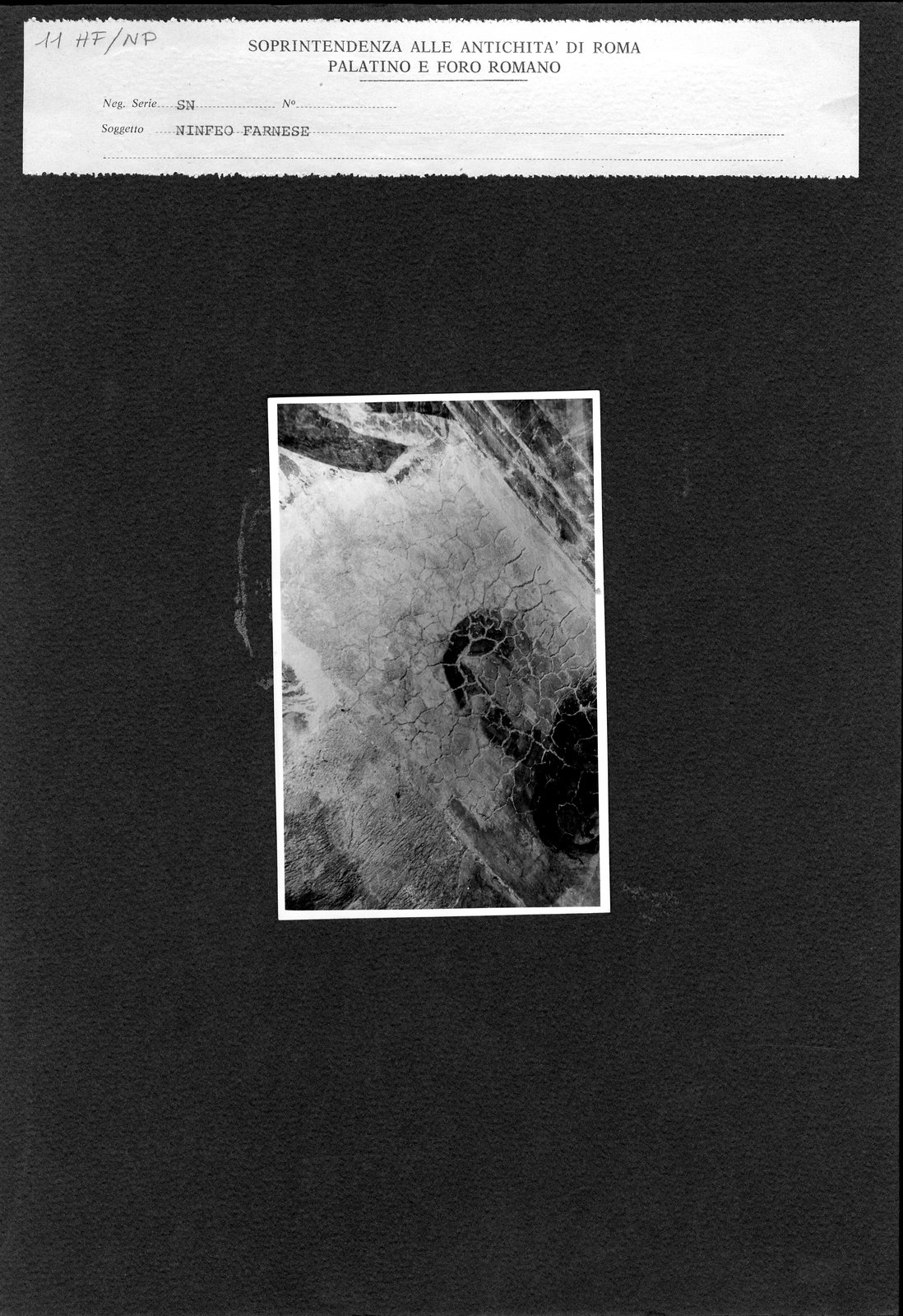HF-NP011.tif