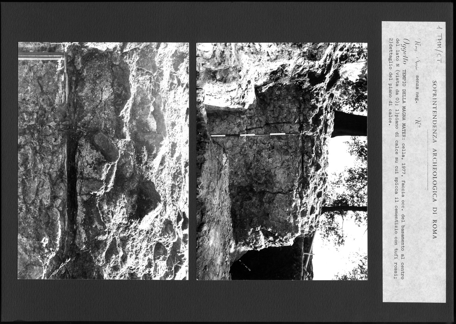 TMM - CT001.tif