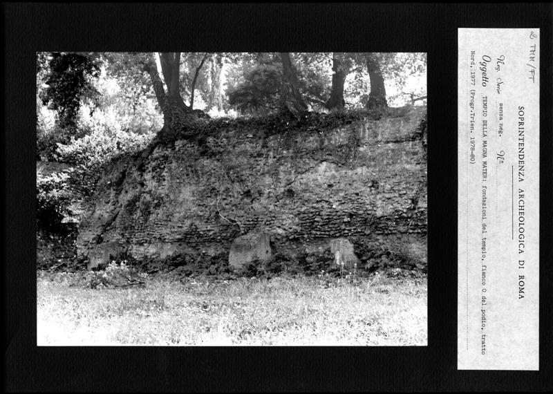 TMM - FT002.tif