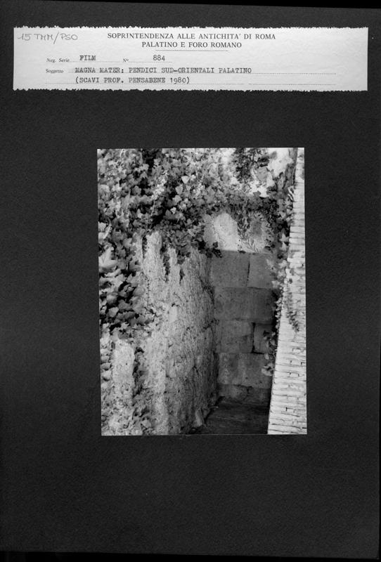 TMM-PSO015.tif