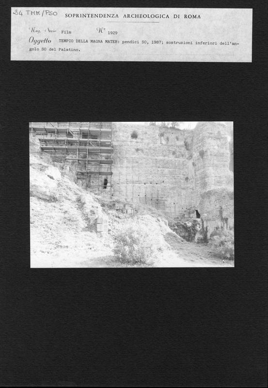 TMM-PSO024.tif