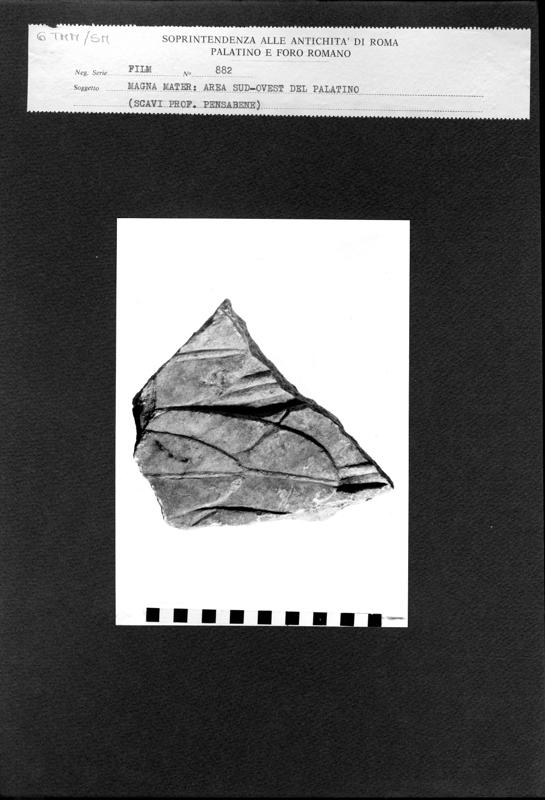 TMM-SM006.tif