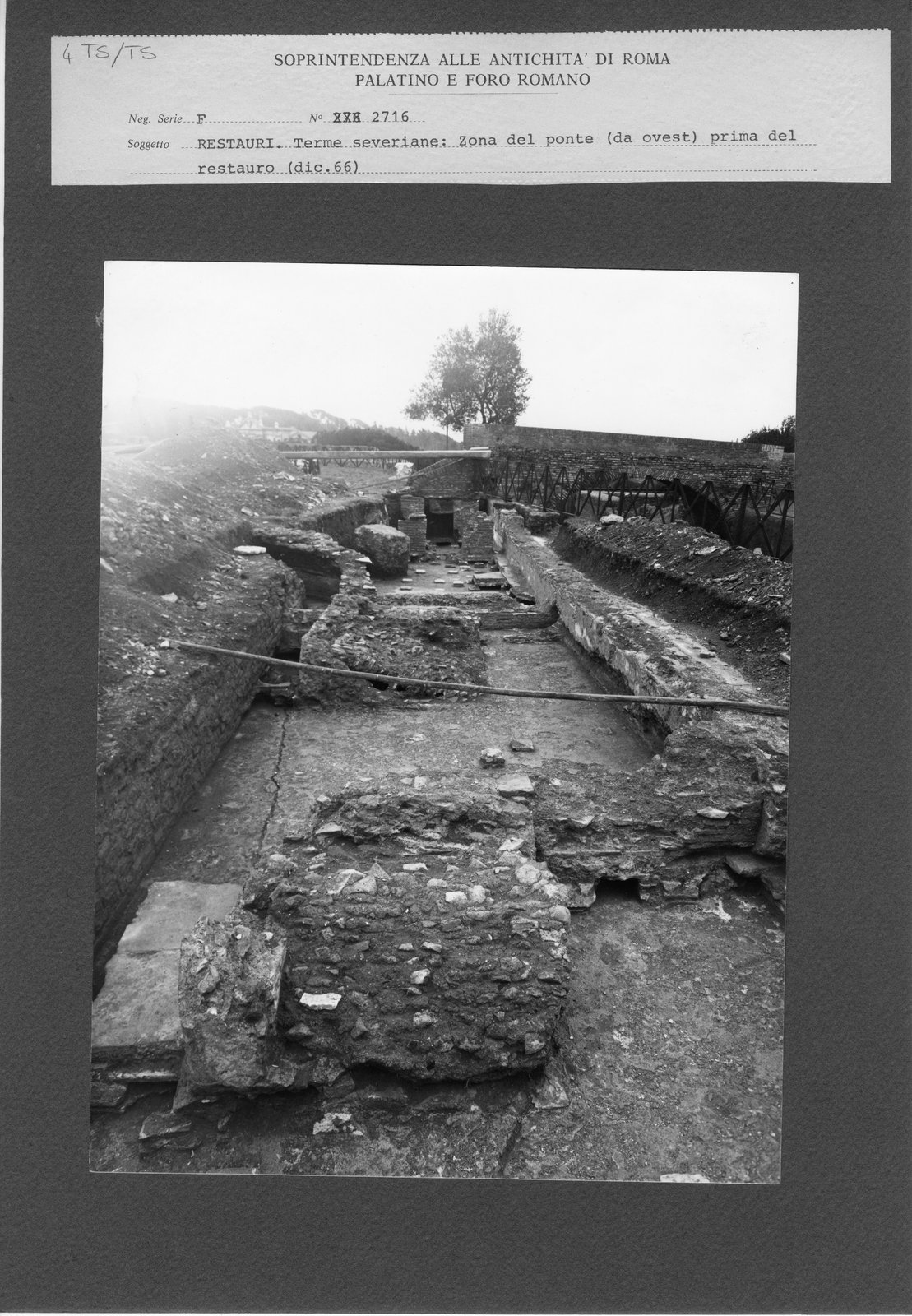TS-TS 004.tif