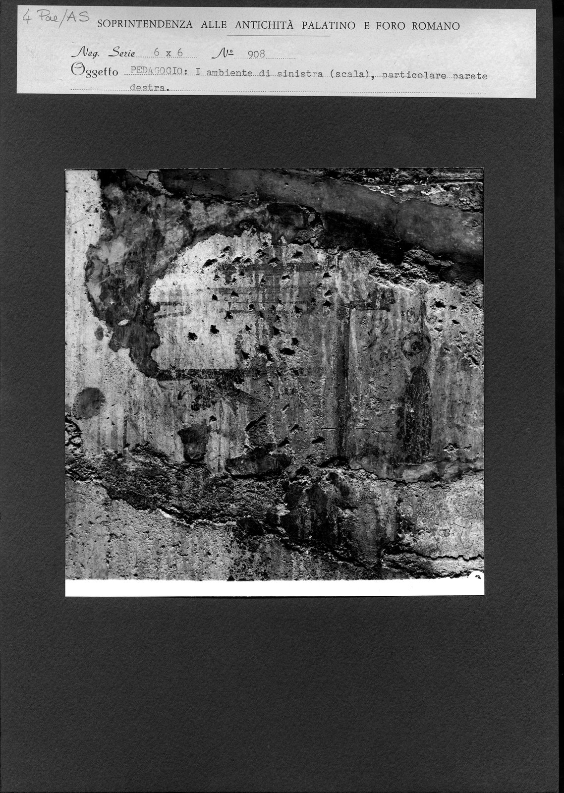 Pal- AS004.tif