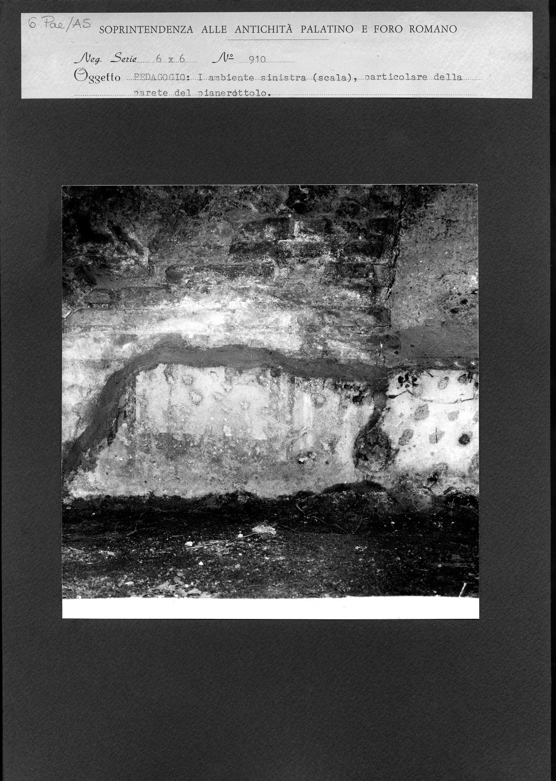 Pal- AS006.tif