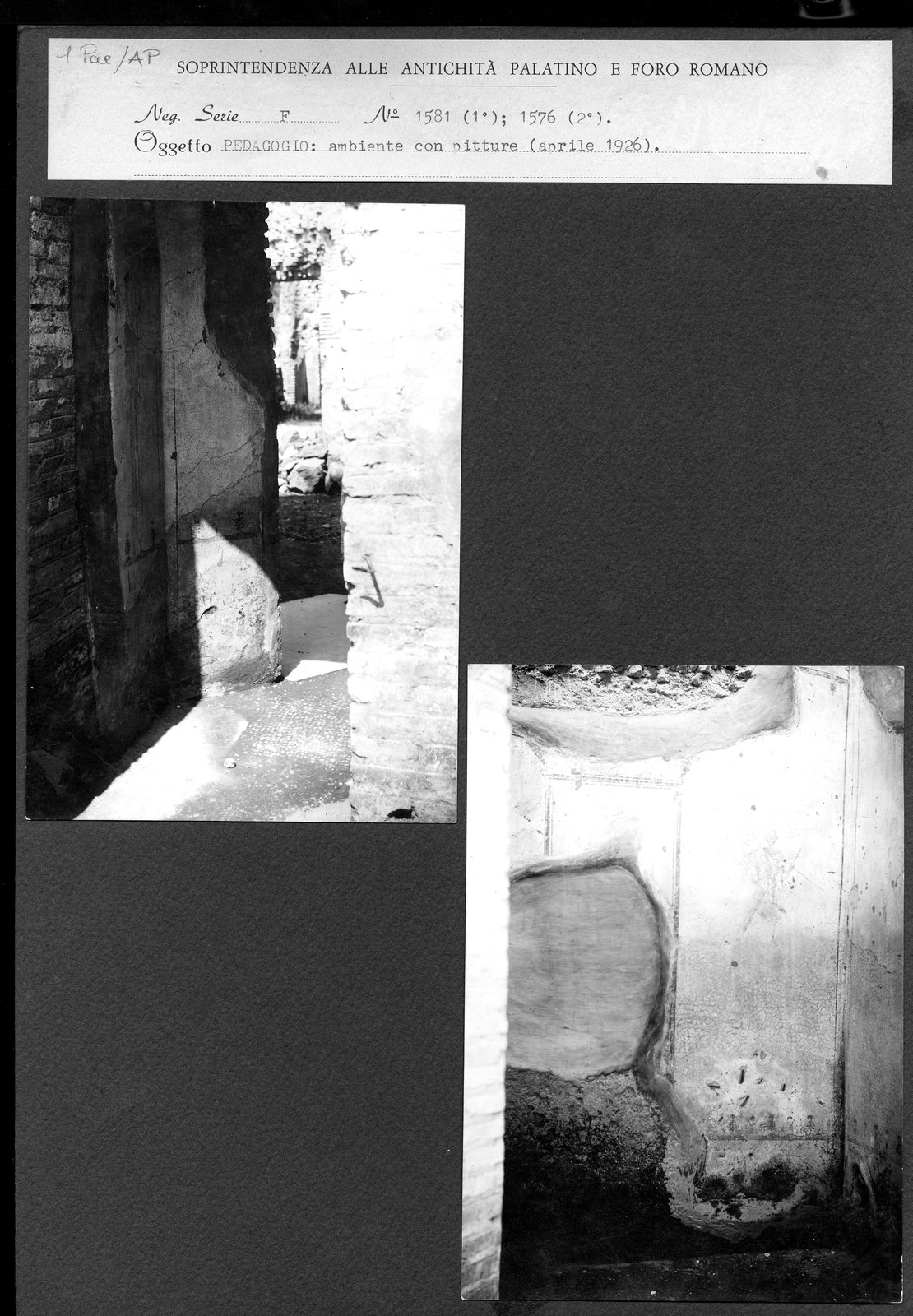 Pal- AP001.tif