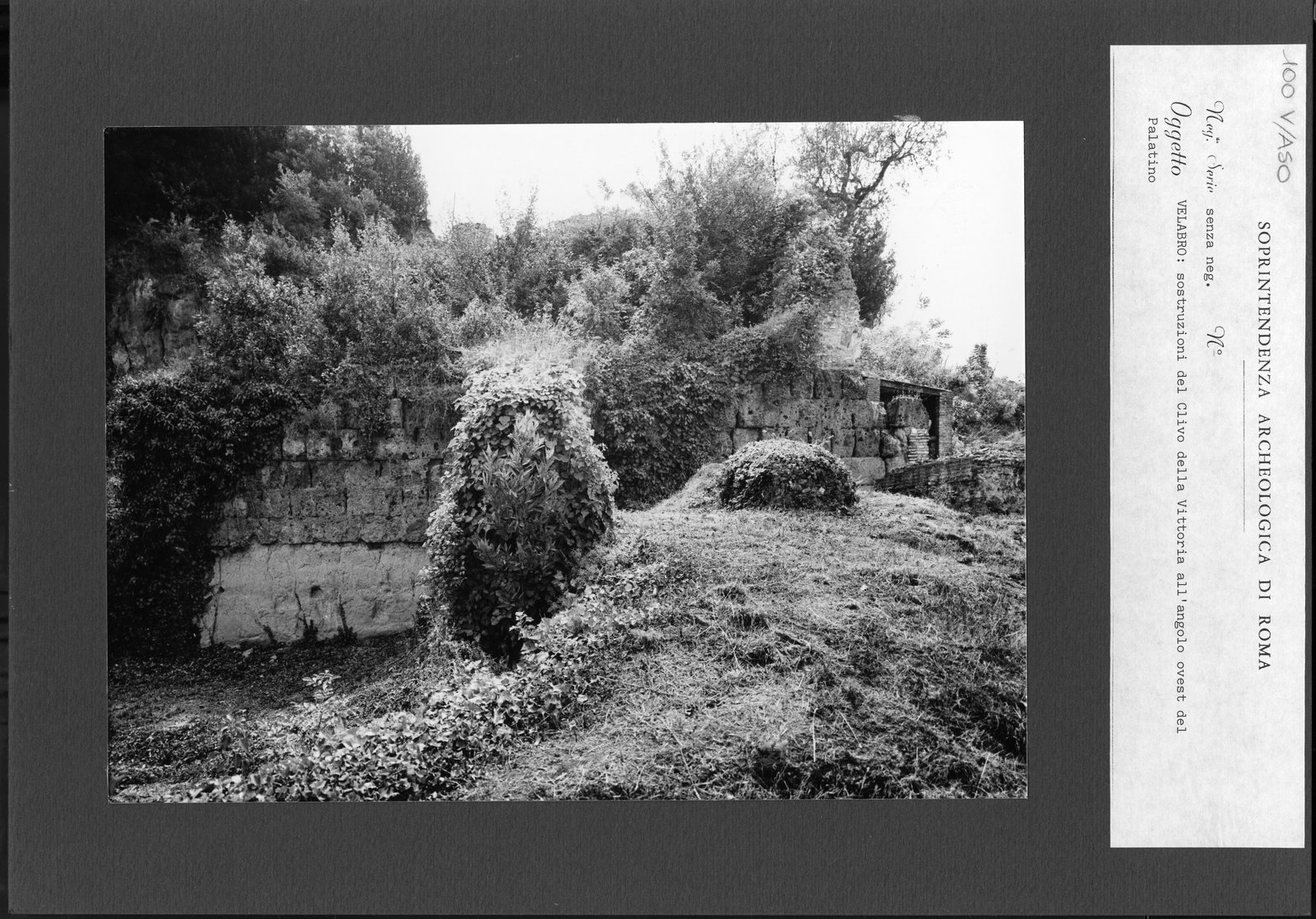 V-ASO100.tif